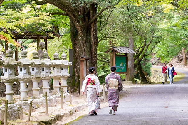 ワンレフと歩いている日